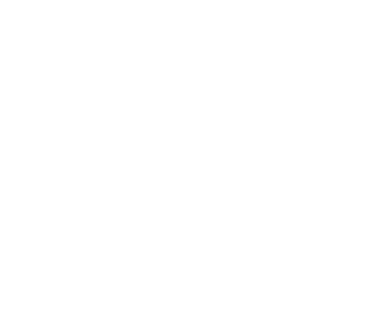 Logo Domaine David Bienfait